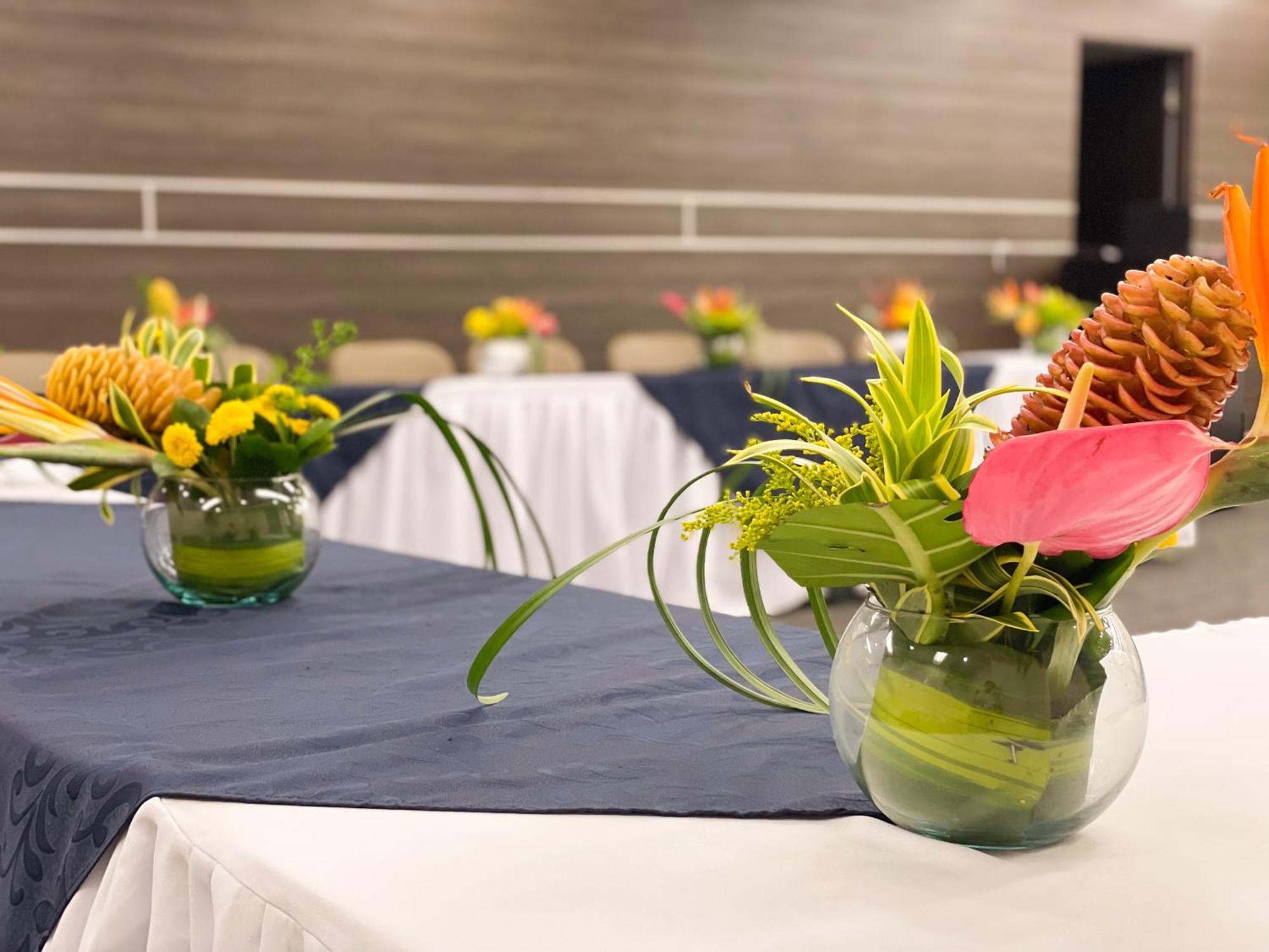Hotel Punta Arena Spa Boutique Arauca Eksteriør bilde