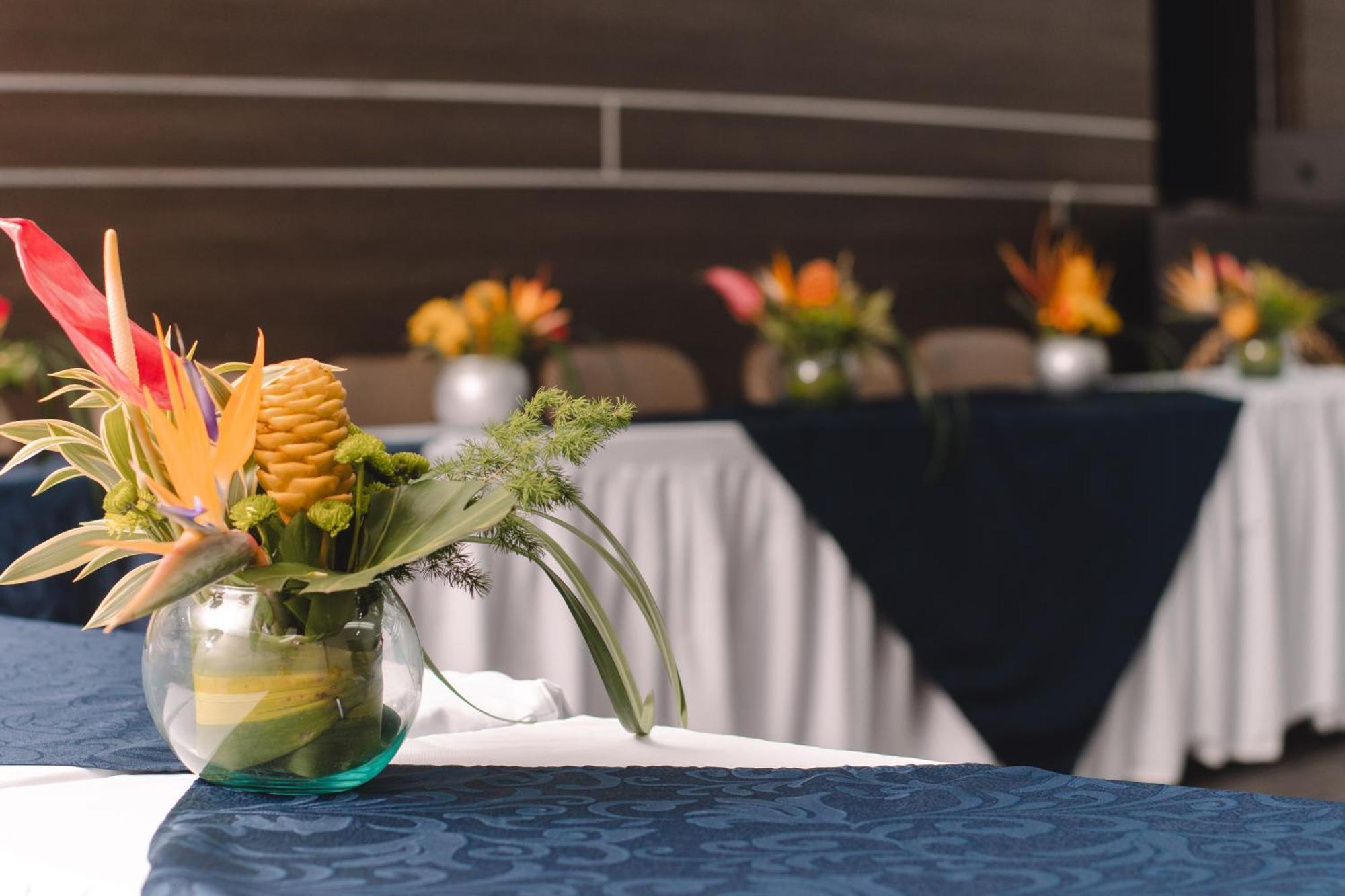 Hotel Punta Arena Spa Boutique Arauca Eksteriør bilde